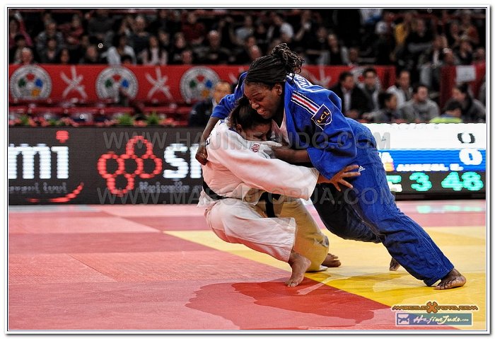 Grand Slam Paris 2013 Judo